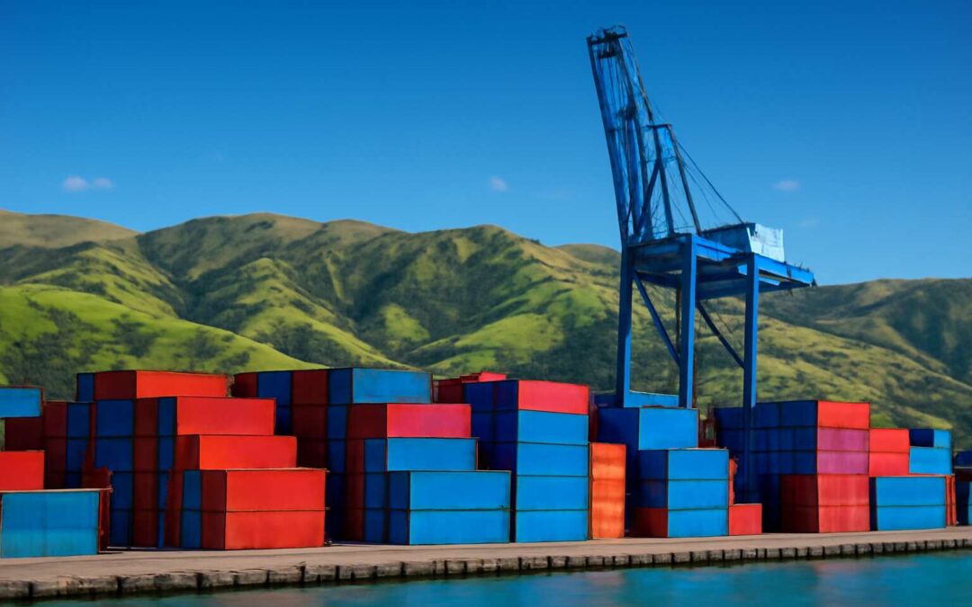 Unlock Smart Storage: shipping containers nz for affordable NZ solutions
